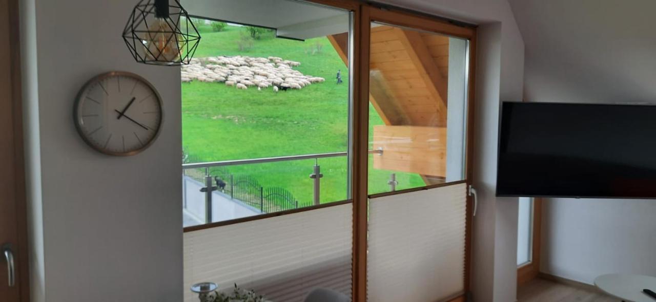 Apartamenty Bachledzki Wierch Zakopane Luaran gambar