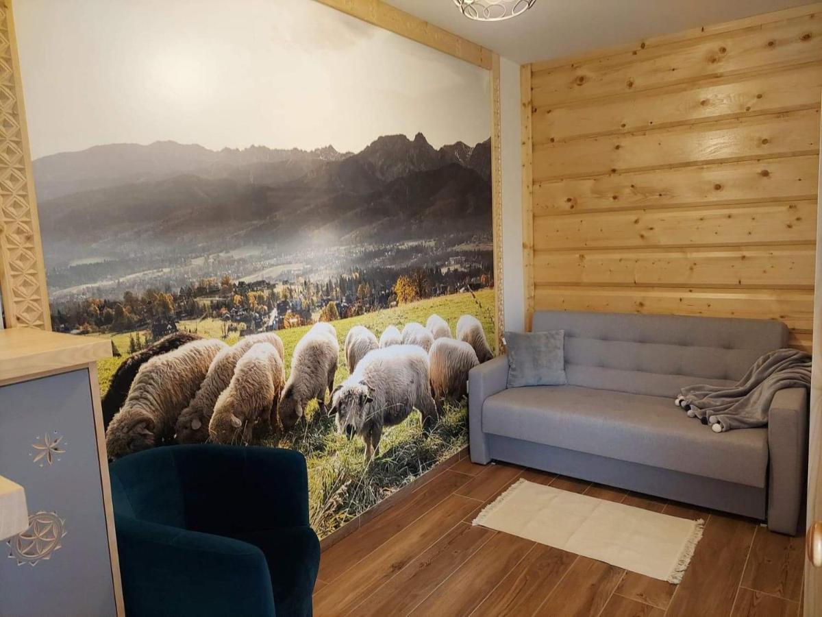 Apartamenty Bachledzki Wierch Zakopane Luaran gambar
